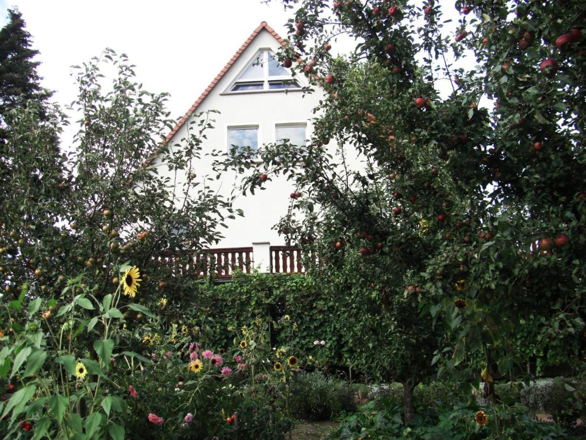Pension Elbblick Sabine Zuschke Meissen Exterior photo